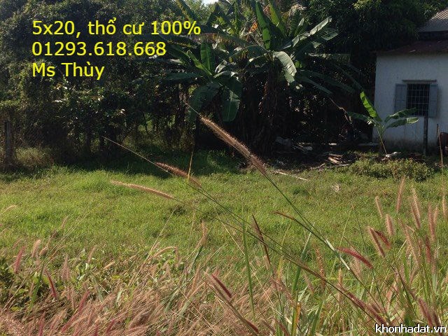 Đất Mặt Tiền Đường Nhựa Cách Nguyễn Chí Thanh vào 100m P. Hiệp An, TDM, BD