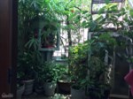 Cơ hội duy nhất để sở hữu căn hộ trung tâm Hoàn Kiếm, HN, 200m2, 9 tỷ