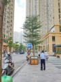 Ruby City CT3 Long Biên Hà Nội-Bảng giá căn hộ gốc Chủ Đầu Tư