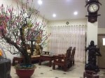 Biệt thự Tam Trinh, kinh doanh, văn phòng, spa, thang máy 100m, chỉ 10.8 tỷ