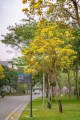 Bán lại liền kề 120m2 Gamuda Gardens, đã ra sổ đỏ, gần công viên, chính Bắc. LH 0962 686 500
