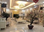 Bảng hàng cần bán biệt thự TT1, TT2, TT3, TT4, TT5, TT6 khu đô thị Tây Nam Linh Đàm. 0979038262