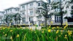 Chuyển nhượng biệt thự Ciputra Tây Hồ nhanh gọn nhất thị trường. Liên hệ: 096.720.0578