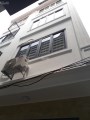 Nhà đẹp Hậu Ái 4 tầng, ô tô vào tận cửa, diện tích 43m2, giá chỉ 1.95 tỷ, gần trục đường chính 422