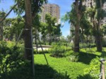 Bán 4 căn liền kề LK10, LK11, LK12, LK12A cạnh nhà B4 Belleville Nguyễn Chánh, Yên Hòa, Cầu Giấy