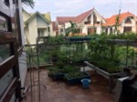Bán biệt thự đơn lập bán đảo Linh Đàm, 250m2 * 4 tầng, nội thất đầy đủ: 22 tỷ có thương lượng
