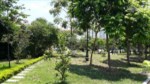 Cần bán lô biệt thự Linh Đàm tự xây, DT 200m2, MT 12m, giá bán 14 tỷ, vị trí đẹp, SĐCC