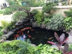 Cắt lỗ BT đơn lập Hoa Sữa 8-8 280m2 hoàn thiện đẹp có thang máy chỉ việc về ở sổ đỏ CC, 25 tỷ