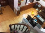 Bán nhà Quang Trung, Hà Đông 73m2 x 5 tầng, mặt tiền 10m, nhà đẹp. LH: 0397545226