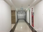 Bán suất ngoại giao chung cư 97 Láng Hạ, căn hiếm, giá siêu rẻ . LH quản lý dự án CĐT 0987448688