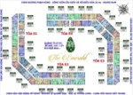 0942338998. PHÒNG KINH DOANH DA THE EMERALD BÁN 30 CH, 77.7M2, 80.4M2, 96.6M2, 141M2 TRỰC TIẾP CĐT