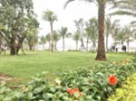 Duy nhất căn 1PN view công viên ven sông và Vinpearl Land, chỉ 1.2 tỷ, LH: 0963257747