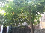 BÁN NHÀ HỒ ĐẮC DI- ĐỐNG ĐA GẦN HỒ - NHU CẦU CỰC CAO 100M2 NHỈNH 7 TỶ