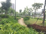 Chủ nhà giao bán căn góc view đẹp nhất ST5 cạnh vườn cây xanh, gần suối nước 157m2 hướng Đông Nam