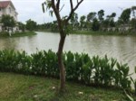 Siêu HOT biệt thự song lập view sông cực đẹp dự án Vinhomes Riverside, diện tích 250m2. Giá 20 tỷ