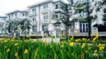 Bán căn góc biệt thự Ciputra, DT 257m2, giá 32 tỷ, có thể nhận nhà ngay, LH: 0988.984.885