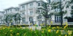 Biệt thự khu K Ciputra, mặt tiền 9m, nhận nhà ở luôn, giá chỉ từ 23 tỷ/căn. LH: 0967.856.693