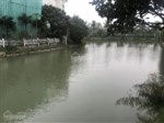 Bán Hoa Sữa 5 - 9, 300m2, Đông Nam, vị trí trung tâm, sông đẹp, Vinhomes Riverside, LH 0989 38 345