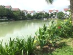 Bán gấp BT Hoa Sữa 03-24 hướng TB, 251.2m2 đất, xây dựng 436.8m2 View thoáng đẹp hồ rộng, 18.9tỷ