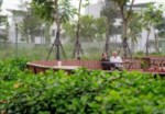 Chủ nhà cần bán LK ST5 DT 157,7m2 canh nhà nhìn ra vườn hoa lớn , giá 13.9 ỷ lh 0948236555