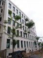 Cần bán 3 căn nhà liền kề tại 128 Hoàng Như Tiếp, nhà phân lô khu vip, giá 12,6 tỷ. LH: 0963049833