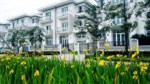Còn duy nhất 1 lô biệt thự giá tốt nhất Ciputra, DT 180m2, MT 9m, giá 23.5 tỷ. LH 0969512536