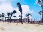 BÁN BT ĐƠN LẬP SONG LẬP KHU NGỌC TRAI (ĐẢO TO), 288M2 ĐN, KHÔNG CHÊNH. 093.114.8886