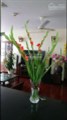 Chung cư TSQ - Mỗ Lao, 160m2, tầng 19, chính chủ giá 20tr có thõa thuận. LH: 0936 846 849 Hạnh