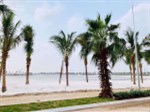 CC bán căn Ngọc Trai 5-40 hướng ĐN, khu bán đảo Ngọc Trai, Vinhomes Ocean Park, LH 098.333.0964