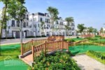 Cần vốn chuyển nhượng gấp lô song lập khu vip Tulip cửa Đông Nam, giá rẻ nhất thị trường 15,5 tỷ