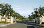 Bán căn biệt thự Hoa Sữa 1-38 hướng Tây Bắc, nhà thô DT 220m2 view LH 090.143.0702