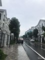 Bán căn BT song lập 186m2 ĐN Vinhomes Harmony bên có hồ giá 15,5 tỷ bao phí sang tên. LH 090469110