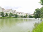 Bán gấp BT Hoa Sữa 4-2, hướng ĐN 227m2 đất, XD 490m2 view đường Hoa Hồng, giá 16 tỷ