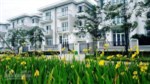 Bán biệt thự Ciputra Phú Thượng, nhận nhà ở ngay, giá 20 tỷ, diện tích 140m2, nhà hướng Bắc