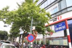 Bán nhà Trần Hưng Đạo, 115m2 * 6,5m mặt tiền, ngõ ô tô vào nhà, giá 26 tỷ