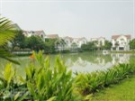 Bán gấp BT Hoa Sữa 4-02, hướng ĐN 227m2 đất, XD 490m2 view đường Hoa Hồng, giá 16 tỷ, 0913.812.661