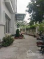 Bán gấp BT Hoa Sữa 4-02, hướng ĐN 227m2 đất, XD 490m2 view đường Hoa Hồng, giá 16 tỷ, 0913.812.661