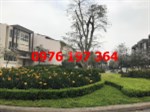 Do anh tôi không SD bán biệt thự vip Ciputra Q5-M4, DT 421m2, hướng Nam, giá tốt nhất thị trường