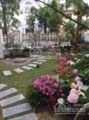 Bán lại lô Bằng Lăng, 500m2, Đông Nam, hoàn thiện Châu Âu sang trọng, giá 55 tỷ, 0902209958