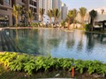 Bán gấp căn 72m - 2PN - 2,93 tỷ tại D'Capitale Trần Duy Hưng - View bể bơi vô cùng đẹp