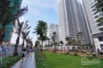 Gấp, bán gấp căn 3PN Park Hill - Times City, để lấy tiền làm ăn. LH: 0934666239