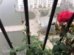 Hót,Bán 2 căn đập thông T10 times ,DT 186 m, giá 8.2 bao tên. Lh 097 970 2442