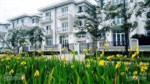 Bán biệt thự 311m2 khu K6 Ciputra view vườn hoa liên hệ: 0968 255 618