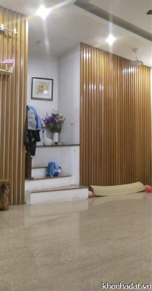 Hiếm ! Bán nhà mặt phố Phố Huế, quận Hai Bà Trưng, 25mx4T, kinh doanh đỉnh, 6.7 tỷ, 0975321194.