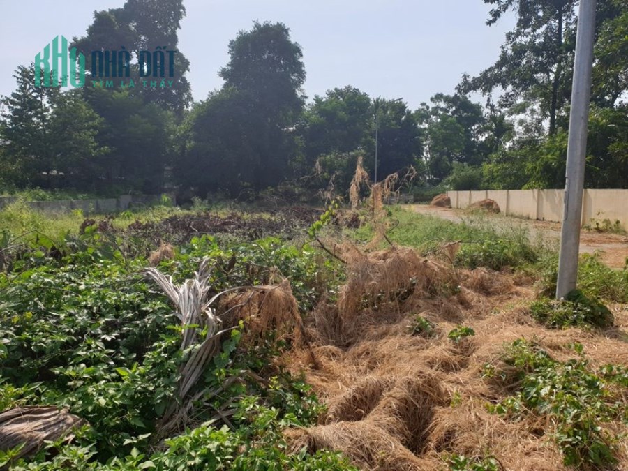 Chỉ có duy nhất lô đất đã đẹp lại còn rẻ 278m2 thôn 3,Phú Cát,Quốc Oai,Hà Nội.LH Tiến Mai 0586229999