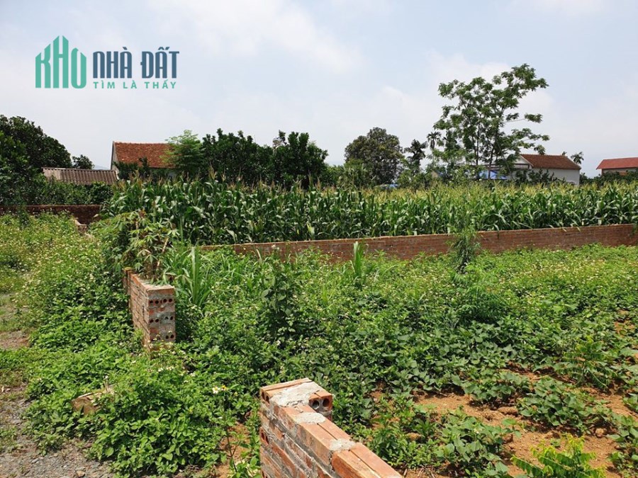 BẬT MÍ 5 BÍ MẬT ĐỘNG TRỜI VỀ LÔ ĐẤT 329 M2 TẠI THÔN 6,PHÚ CÁT,QUỐC OAI,HÀ NỘI.LIÊN HỆ 0586229999