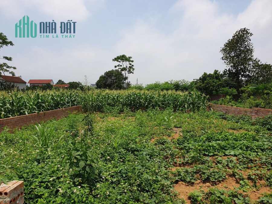 BẬT MÍ 5 BÍ MẬT ĐỘNG TRỜI VỀ LÔ ĐẤT 329 M2 TẠI THÔN 6,PHÚ CÁT,QUỐC OAI,HÀ NỘI.LIÊN HỆ 0586229999
