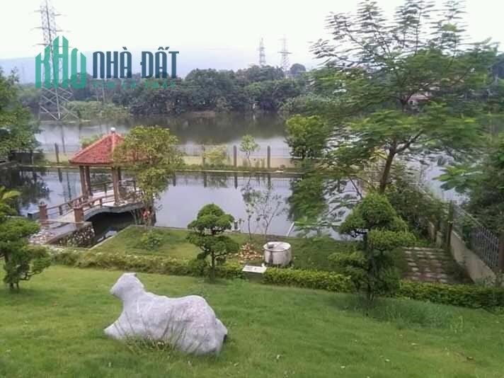 Cực Phẩm Đầu Tư Sinh Lời 3100m2 Đất Phú Cát,Quốc Oai,Hn.Liên Hệ Tiến Mai 0586229999
