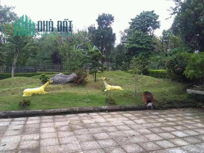 Cực Phẩm Đầu Tư Sinh Lời 3100m2 Đất Phú Cát,Quốc Oai,Hn.Liên Hệ Tiến Mai 0586229999