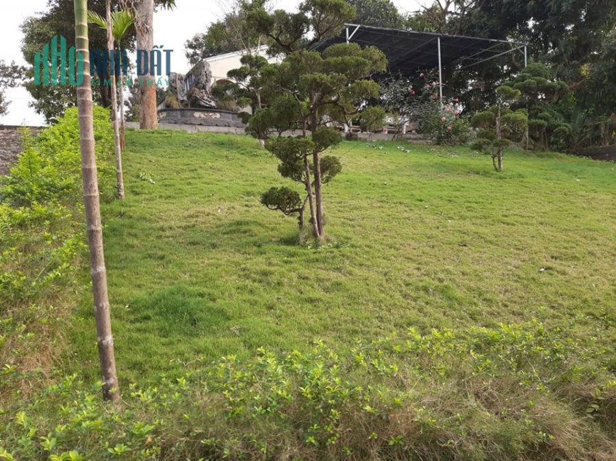 Cực Phẩm Đầu Tư Sinh Lời 3100m2 Đất Phú Cát,Quốc Oai,Hn.Liên Hệ Tiến Mai 0586229999